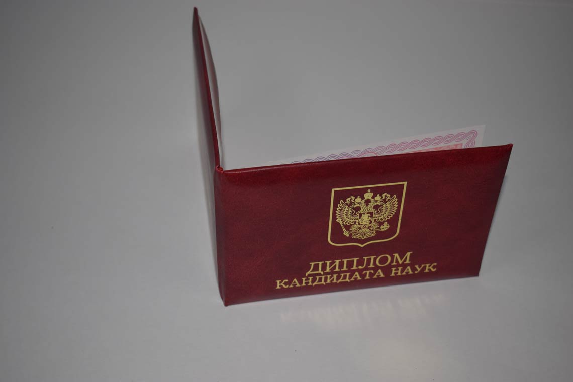 Диплом Кандидата Наук 2013-2016 в Петропавловск-Камчатском корка